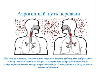 афиша