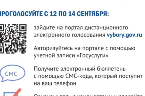 Памятка для голосования на портале Госуслуг