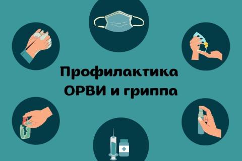 Профилактика гриппа и ОРВИ