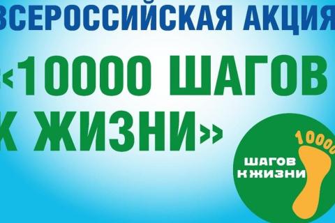 афишка общая шаги